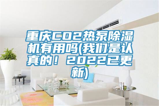 重慶CO2熱泵除濕機有用嗎(我們是認真的！2022已更新)