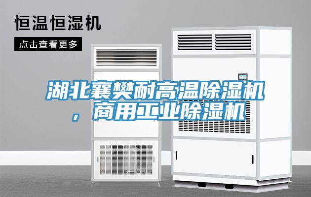 湖北襄樊耐高溫除濕機(jī),商用工業(yè)除濕機(jī)
