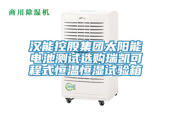 漢能控股集團太陽能電池測試選購瑞凱可程式恒溫恒濕試驗箱