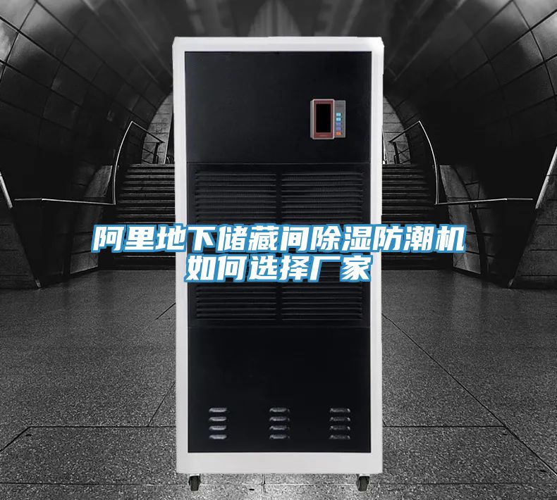 阿里地下儲藏間除濕防潮機如何選擇廠家