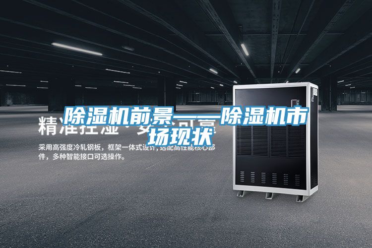 除濕機前景——除濕機市場現狀