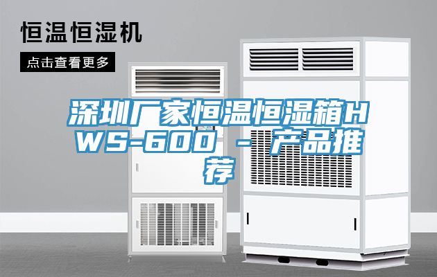 深圳廠家恒溫恒濕箱HWS-600 - 產品推薦