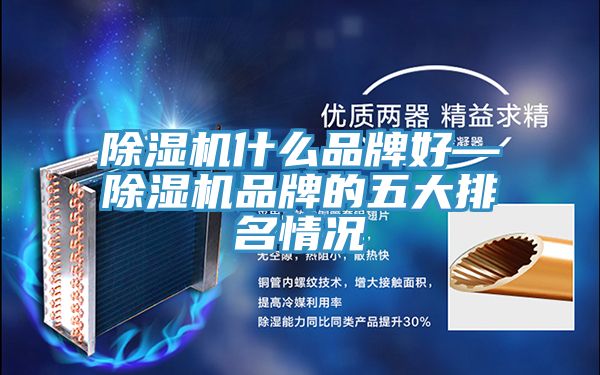 除濕機什么品牌好—除濕機品牌的五大排名情況