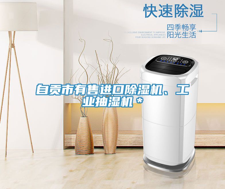 自貢市有售進口除濕機、工業抽濕機＊