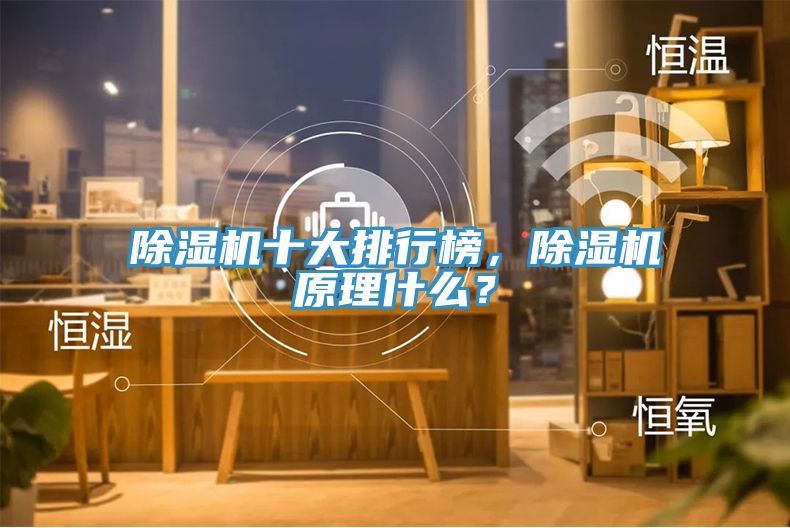 除濕機十大排行榜,除濕機原理什么?
