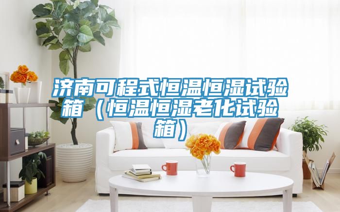 濟南可程式恒溫恒濕試驗箱（恒溫恒濕老化試驗箱）