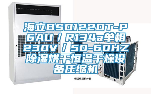 海立BSD122DT-P6AU/R134a單相230V/50-60HZ除濕烘干恒溫干燥設(shè)備壓縮機