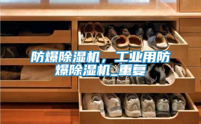 防爆除濕機,工業用防爆除濕機_重復