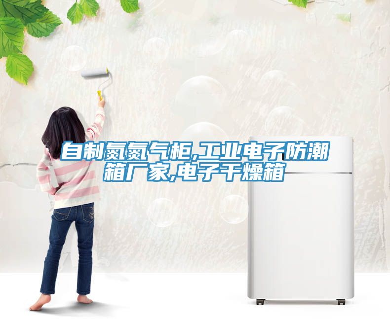 自制氮氮氣柜,工業電子防潮箱廠家,電子干燥箱