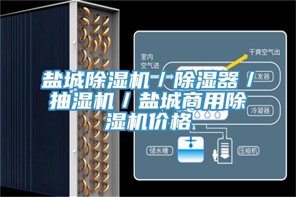 鹽城除濕機／除濕器／抽濕機／鹽城商用除濕機價格