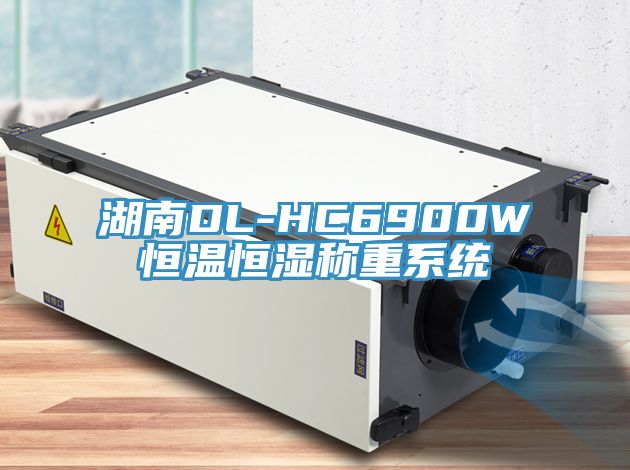 湖南DL-HC6900W恒溫恒濕稱重系統