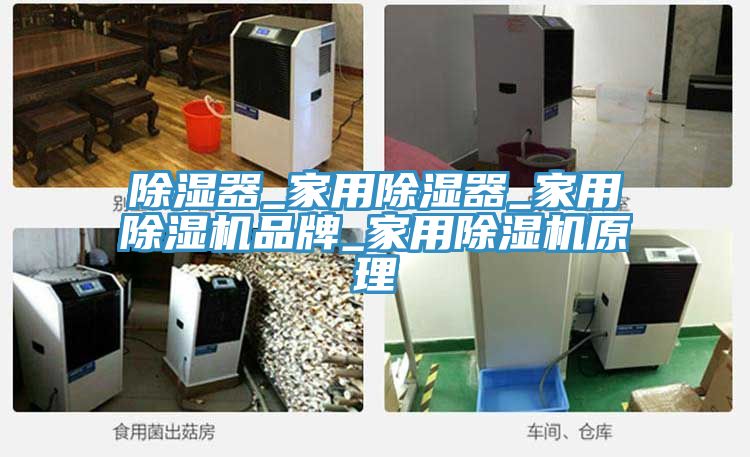 除濕器_家用除濕器_家用除濕機品牌_家用除濕機原理