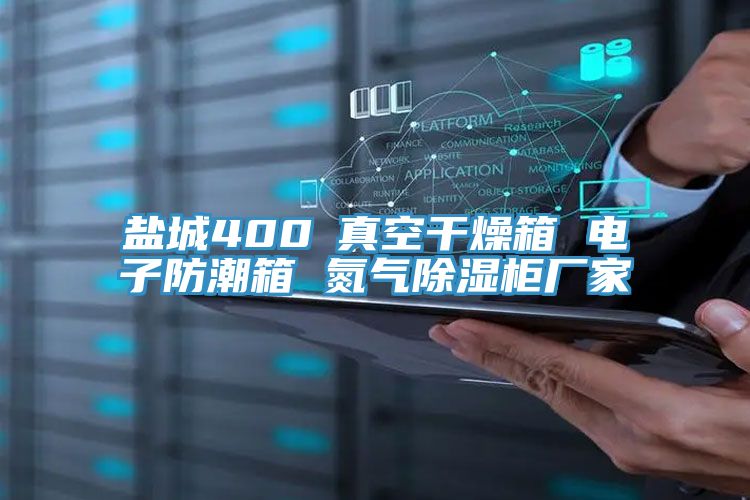 鹽城400℃真空干燥箱 電子防潮箱 氮氣除濕柜廠家