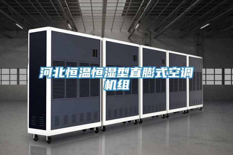 河北恒溫恒濕型直膨式空調機組