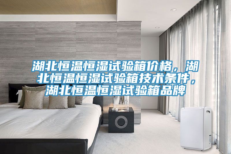 湖北恒溫恒濕試驗箱價格，湖北恒溫恒濕試驗箱技術條件，湖北恒溫恒濕試驗箱品牌