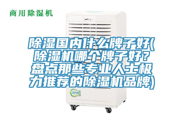 除濕國內什么牌子好(除濕機哪個牌子好?盤點那些專業人士極力推薦的除濕機品牌)