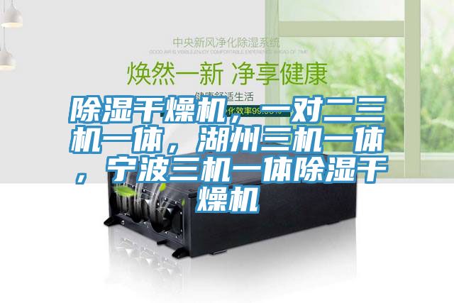 除濕干燥機(jī),一對二三機(jī)一體,湖州三機(jī)一體,寧波三機(jī)一體除濕干燥機(jī)