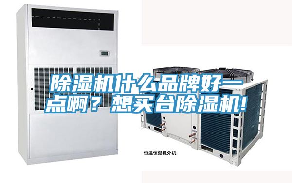 除濕機什么品牌好一點啊?想買臺除濕機!