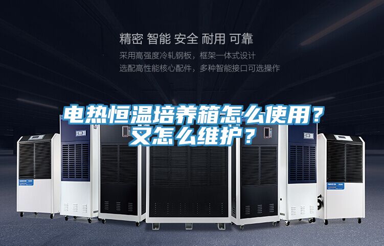 電熱恒溫培養箱怎么使用？又怎么維護？