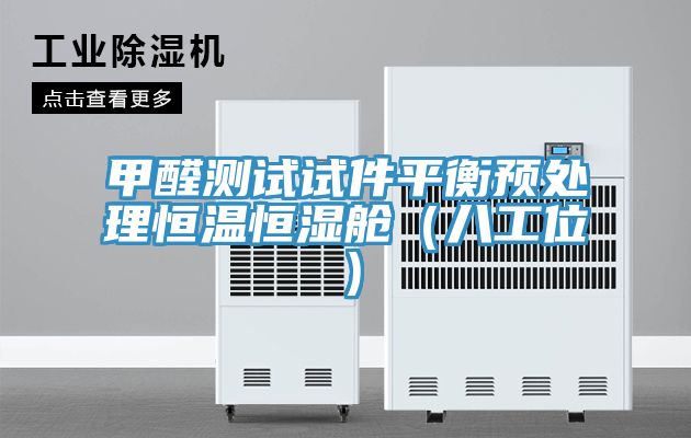 甲醛測試試件平衡預處理恒溫恒濕艙(八工位)