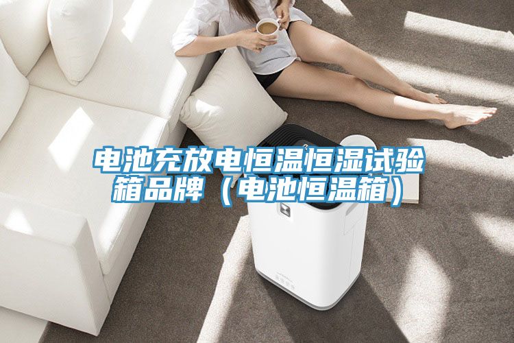 電池充放電恒溫恒濕試驗箱品牌（電池恒溫箱）