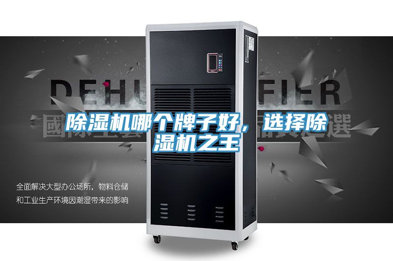 除濕機哪個牌子好,選擇除濕機之王