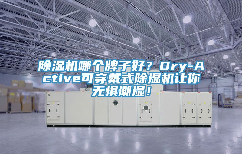 除濕機哪個牌子好?Dry-Active可穿戴式除濕機讓你無懼潮濕!