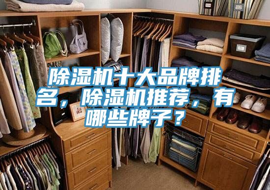 除濕機(jī)十大品牌排名,除濕機(jī)推薦,有哪些牌子?