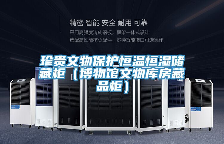 珍貴文物保護恒溫恒濕儲藏柜(博物館文物庫房藏品柜)