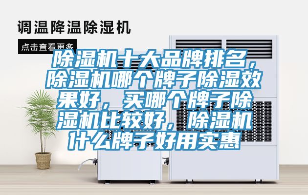 除濕機(jī)十大品牌排名,除濕機(jī)哪個(gè)牌子除濕效果好,買(mǎi)哪個(gè)牌子除濕機(jī)比較好,除濕機(jī)什么牌子好用實(shí)惠