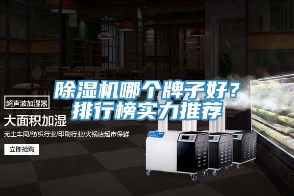 除濕機哪個牌子好?排行榜實力推薦