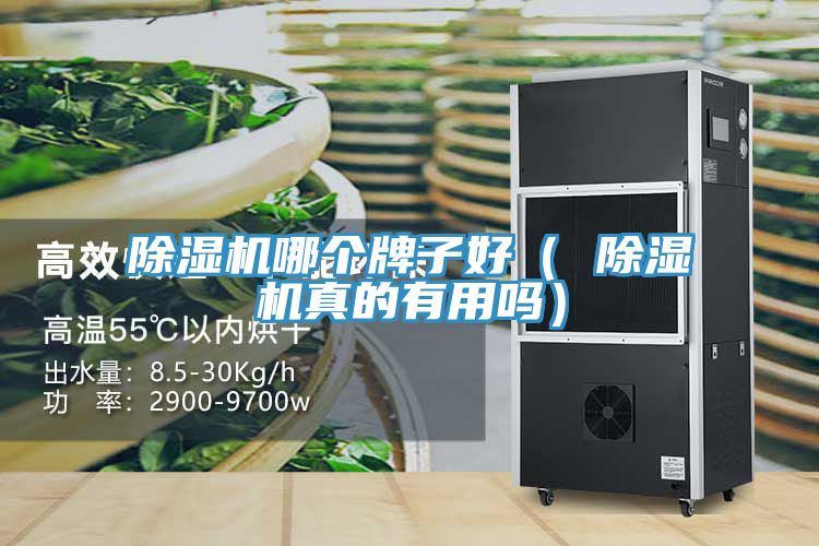 除濕機哪個牌子好( 除濕機真的有用嗎)