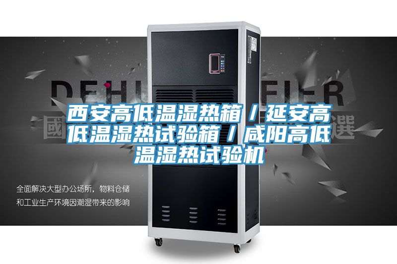 西安高低溫濕熱箱／延安高低溫濕熱試驗箱／咸陽高低溫濕熱試驗機
