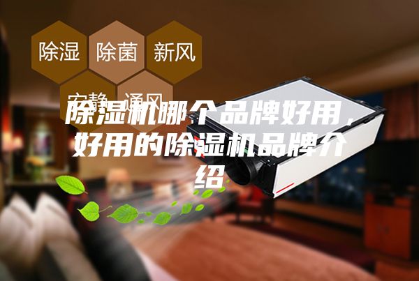 除濕機(jī)哪個品牌好用,好用的除濕機(jī)品牌介紹