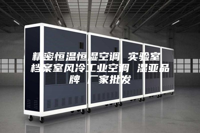 精密恒溫恒濕空調 實驗室 檔案室風冷工業空調 濕亞品牌 廠家批發
