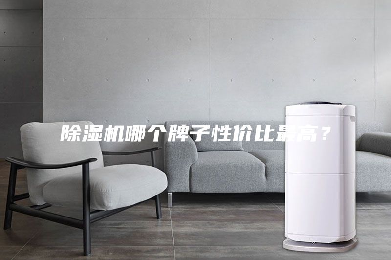 除濕機哪個牌子性價比最高?