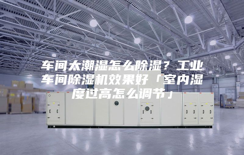 車間太潮濕怎么除濕?工業車間除濕機效果好「室內濕度過高怎么調節」