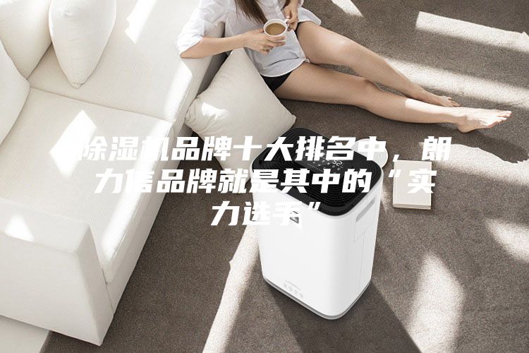 除濕機(jī)品牌十大排名中,朗力信品牌就是其中的“實(shí)力選手”