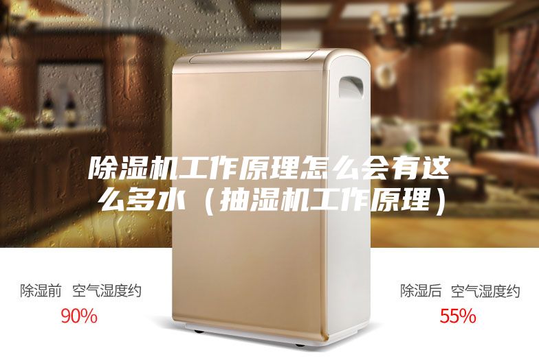 除濕機工作原理怎么會有這么多水(抽濕機工作原理)