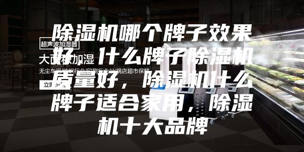 除濕機哪個牌子效果好，什么牌子除濕機質量好，除濕機什么牌子適合家用，除濕機十大品牌