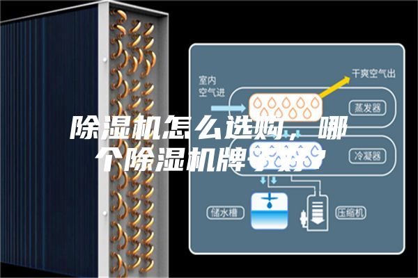 除濕機(jī)怎么選購,哪個(gè)除濕機(jī)牌子好?