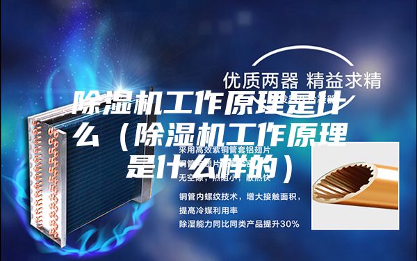 除濕機工作原理是什么(除濕機工作原理是什么樣的)