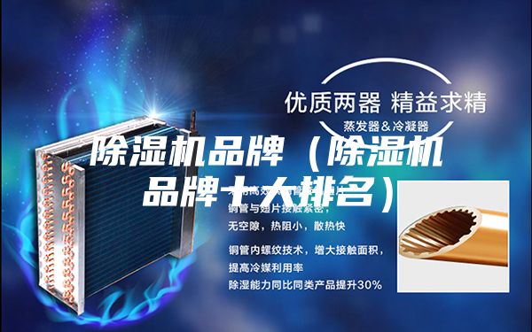 除濕機品牌(除濕機品牌十大排名)