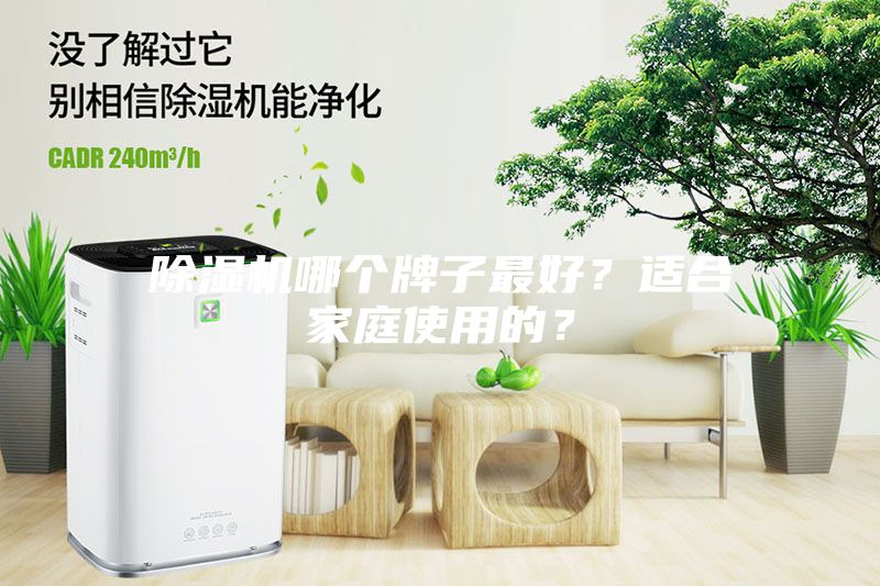 除濕機哪個牌子最好?適合家庭使用的?