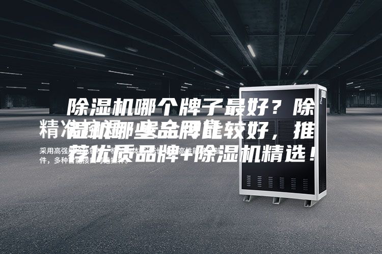 除濕機哪個牌子最好？除濕機哪些品牌比較好，推薦優質品牌+除濕機精選！