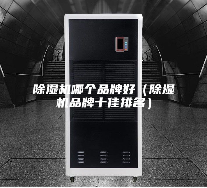 除濕機(jī)哪個品牌好(除濕機(jī)品牌十佳排名)