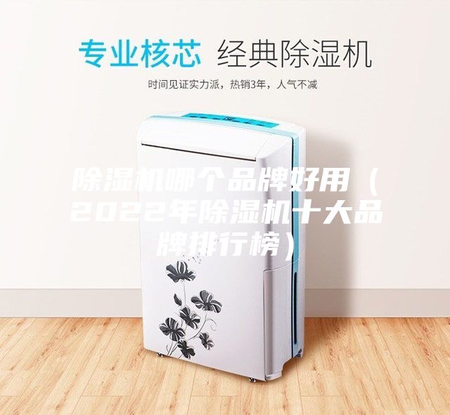 除濕機(jī)哪個品牌好用(2022年除濕機(jī)十大品牌排行榜)