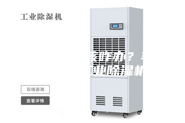 車間潮濕該咋辦?車間除潮工業除濕機