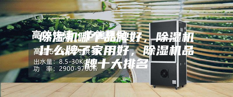 除濕機哪個品牌好,除濕機什么牌子家用好,除濕機品牌十大排名