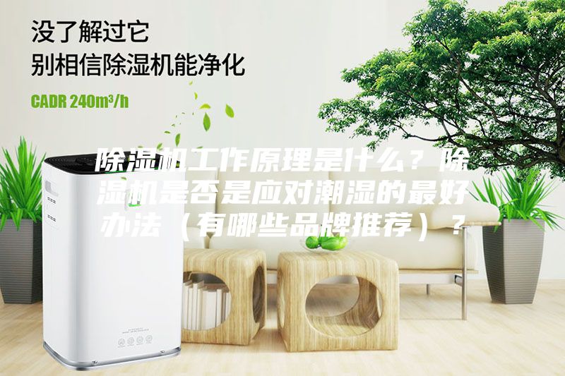 除濕機工作原理是什么？除濕機是否是應對潮濕的最好辦法（有哪些品牌推薦）？